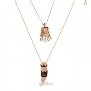 COPY - Zara NWT long necklace